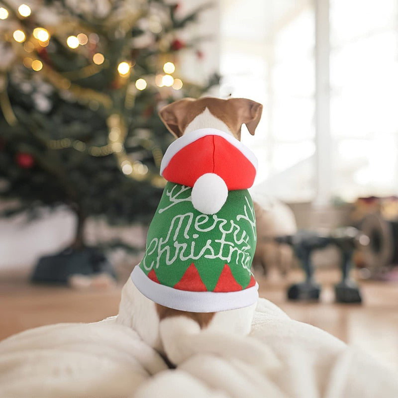 Christmas Sweater for Pets