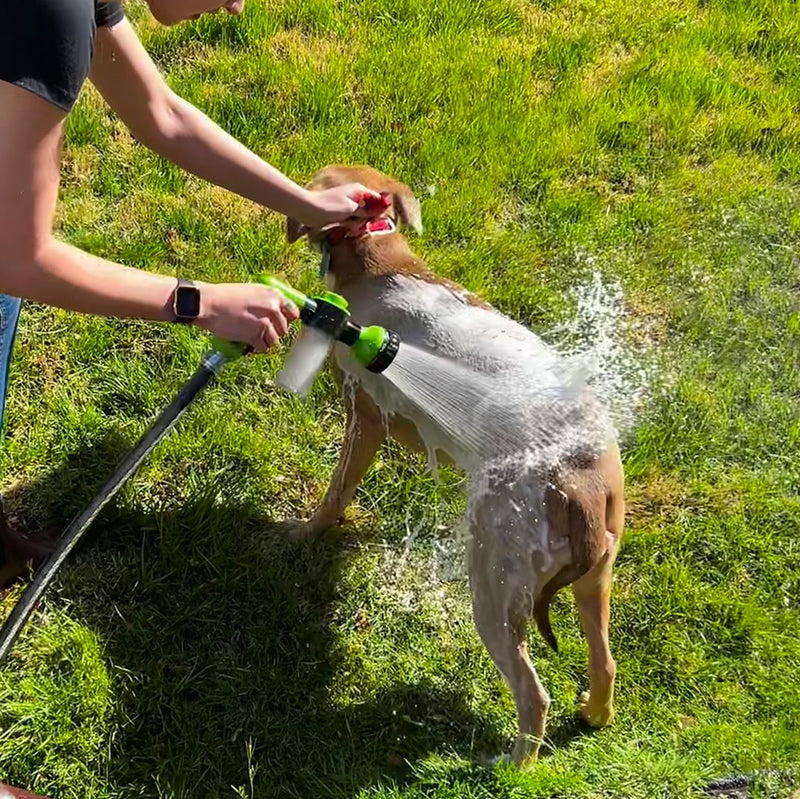 Dog Shower Gun - BUY 1, GET 2 ONLY TODAY!